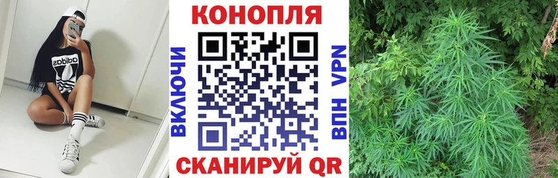дарк нет какой сайт МЕГА как войти Володарск Бошки Шишки план